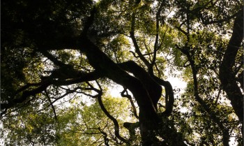 財務諸表 財務諸表は、その周期性と戦略的重要性を考慮する必要があります。