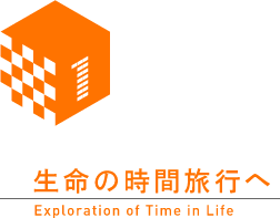 Exploration of Time in Life
